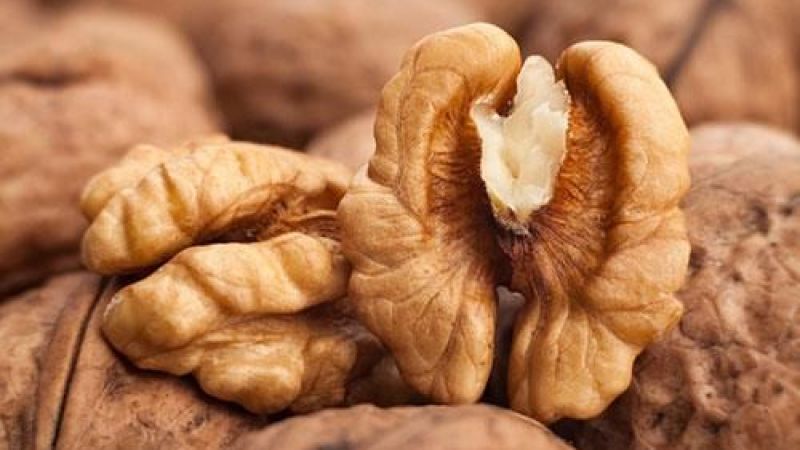 Ceviz ağacının altında neden oturulmaz? 3