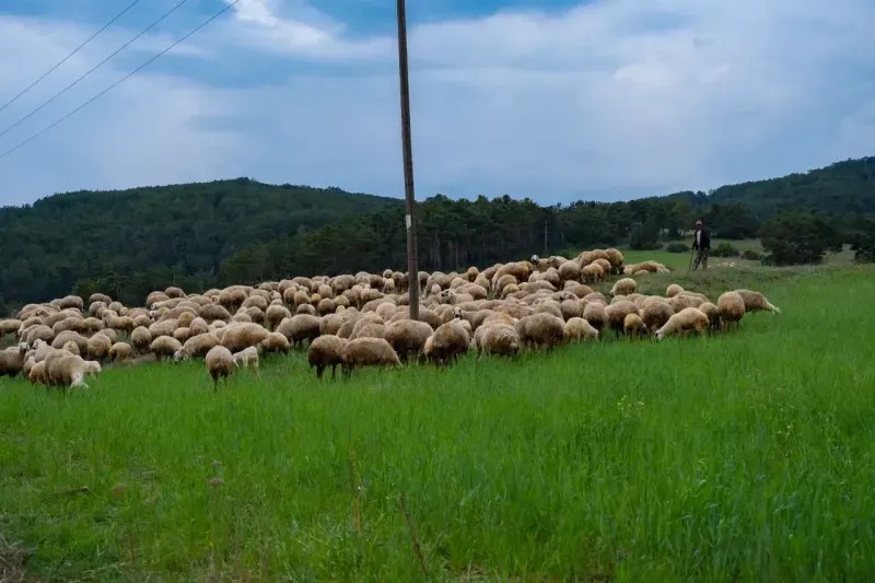 Kartpostallık görüntülere sahne olan ilçe: Akdağmadeni 4