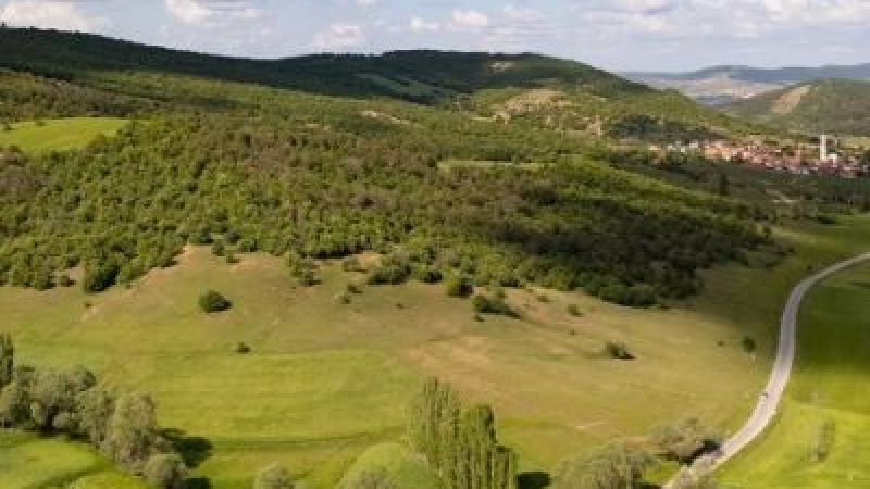 Akdağmadeni’nde Doğanın Bahar Renkleri Büyülüyor! 6