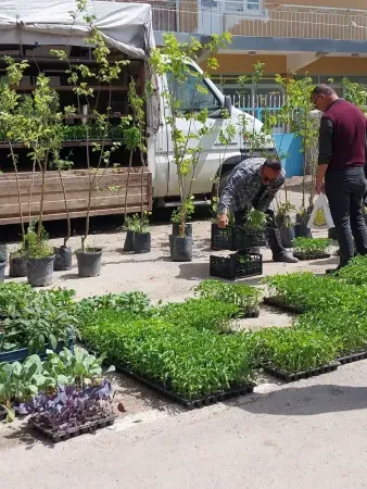 Çayıralan Salı Pazarı Güneşli Havada Müşterilerini Ağırlıyor 2