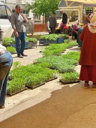 Çayıralan Salı Pazarı Güneşli Havada Müşterilerini Ağırlıyor 8