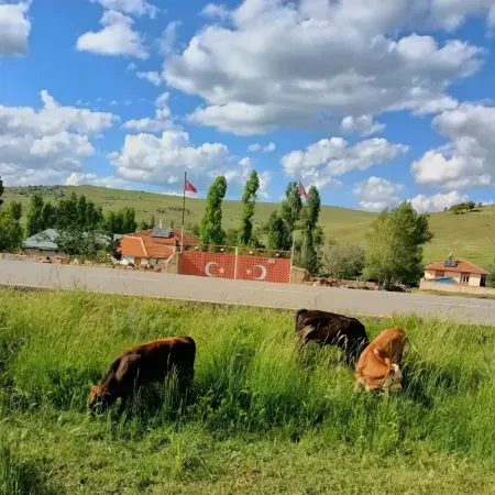 Yozgat Yortan Köyü, Baharın Gelişiyle Birlikte Kartpostallık Manzaralar Sunuyor 3