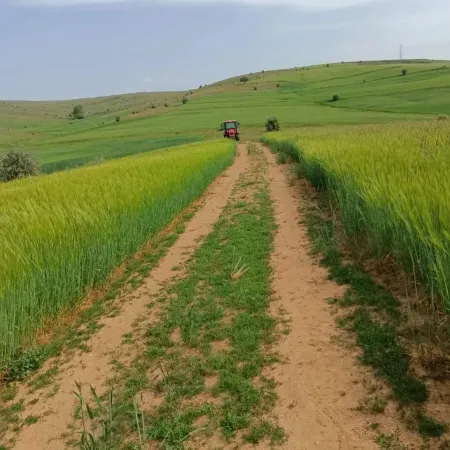 Yozgat Yortan Köyü, Baharın Gelişiyle Birlikte Kartpostallık Manzaralar Sunuyor 5