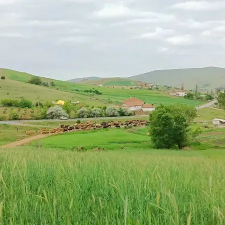 Yozgat Yortan Köyü, Baharın Gelişiyle Birlikte Kartpostallık Manzaralar Sunuyor 9
