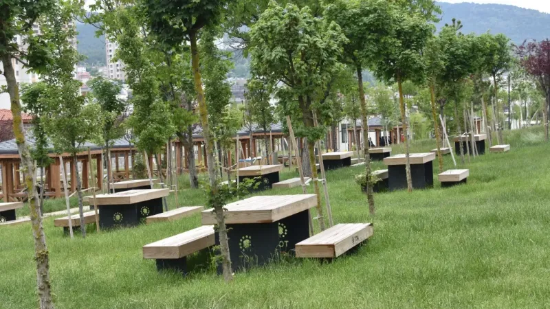 Şiddetli Yağış Yozgat’ı Yeşile Boyadı! 8