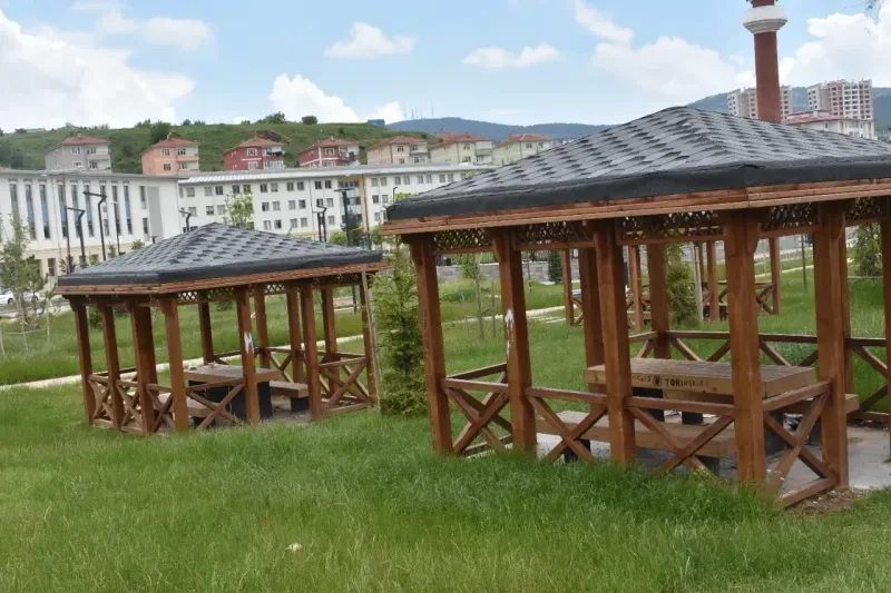 Şiddetli Yağış Yozgat’ı Yeşile Boyadı! 6