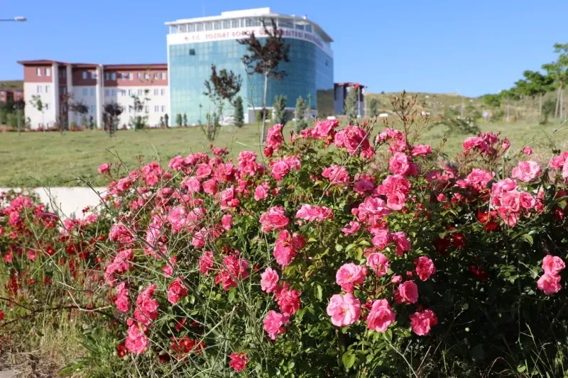Yozgat’ta Bahar Tüm Güzelliği İle Büyülüyor! 3
