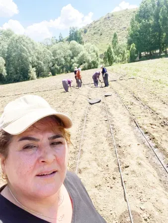 Yozgat’ta Emekçi Kadınlar Ekime Başladı! 4