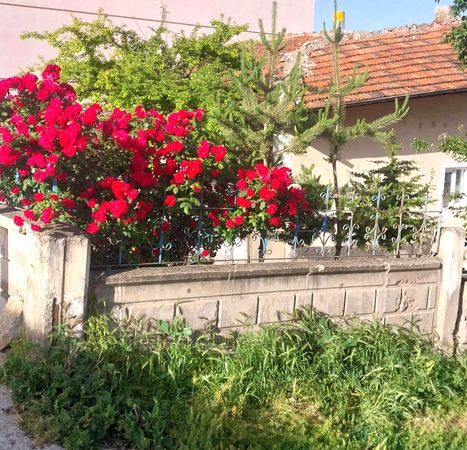 Yozgat'ın Yeşil İncisi Çayıralan'da Pazar Keyfi 4