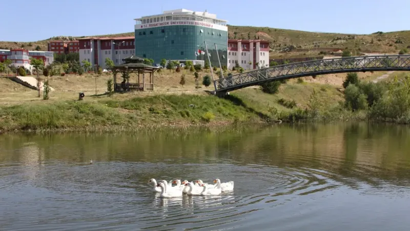 Yozgat Bozok Üniversitesi Yeşile Büründü! 5