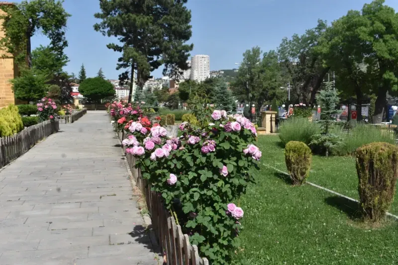 Yozgat'ın Altın Renkli Mektebi: Yozgat Lisesi! 18