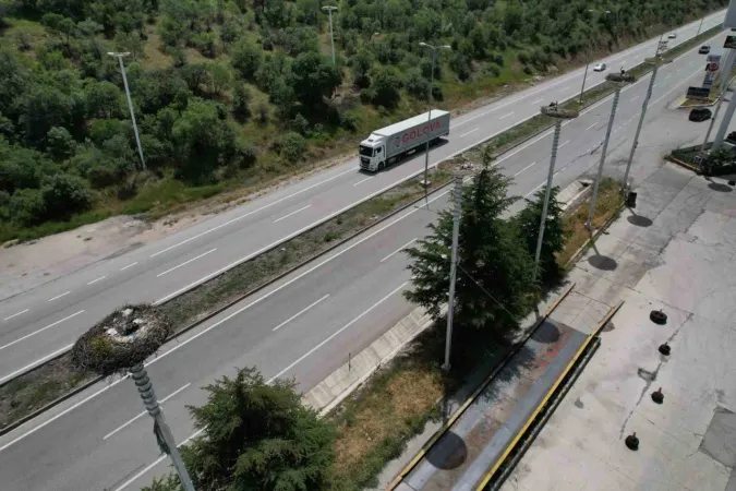Leyleklerin Başkent'i... Kızılcahamam'da "Leylek Apartmanı" sakinleri yuvalarına döndü 3