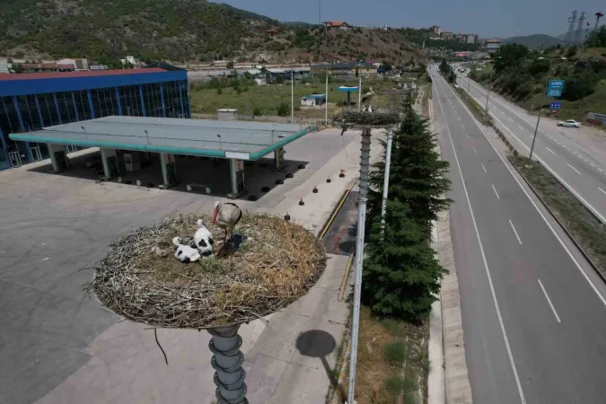 Leyleklerin Başkent'i... Kızılcahamam'da "Leylek Apartmanı" sakinleri yuvalarına döndü 4