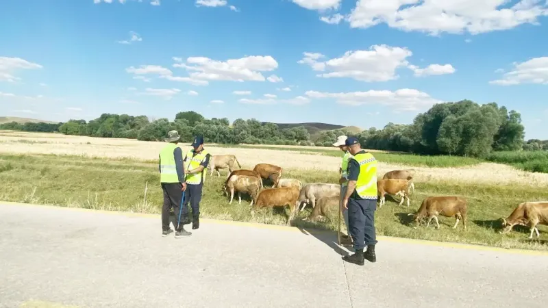 Yozgat Jandarması’ndan Çobanlara Hayati Uyarı! 4
