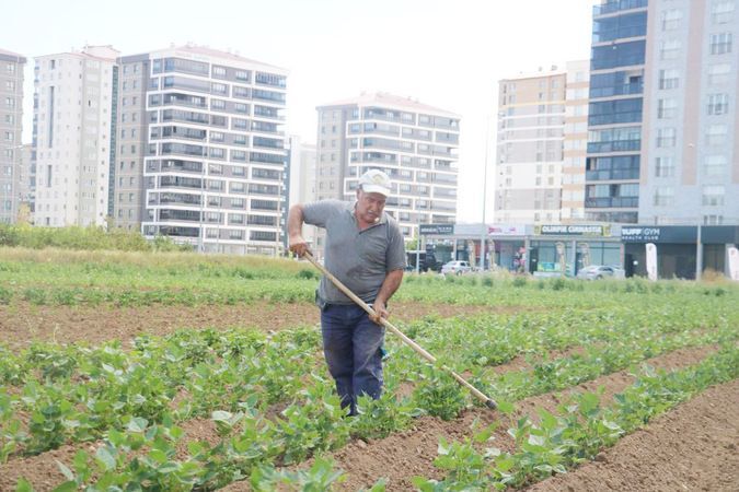 Apartmanlar Arasında Kalan Bir Çiftçi! 3