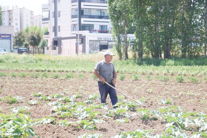 Apartmanlar Arasında Kalan Bir Çiftçi! 5