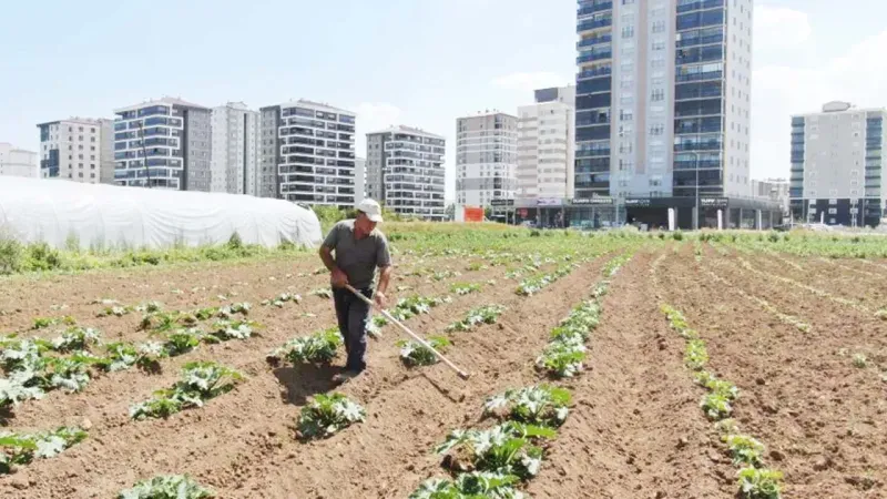 Apartmanlar Arasında Kalan Bir Çiftçi! 6