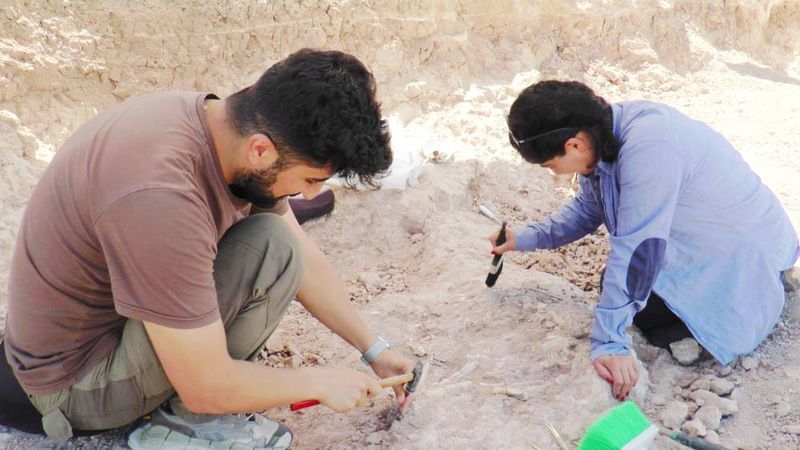Fosiller Gün Yüzüne Çıkıyor! 7,5 Milyon Yıllık Tarihin Perdesi Aralanıyor… 5
