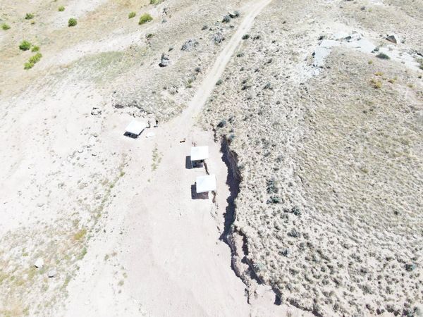 Fosiller Gün Yüzüne Çıkıyor! 7,5 Milyon Yıllık Tarihin Perdesi Aralanıyor… 8