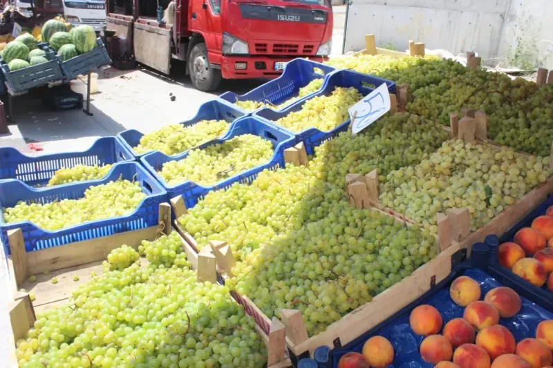 Yozgat’ta Tarladan Tezgaha Doğal Ürünler… 5