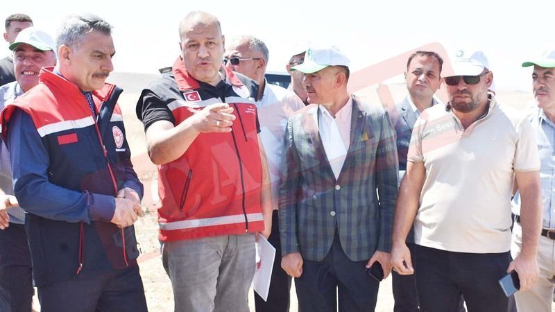 Yozgat Mercimek Üretiminde Türkiye Birincisi! 1