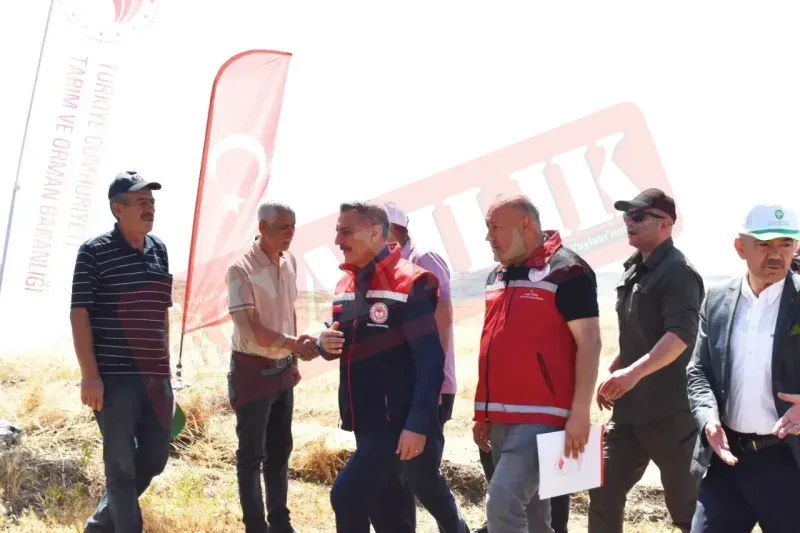 Yozgat Mercimek Üretiminde Türkiye Birincisi! 5