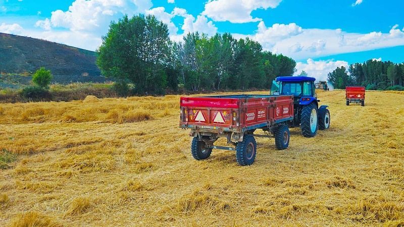 Yozgat’ta Altın Renkli Başaklar ve Bereketli Topraklar! 8