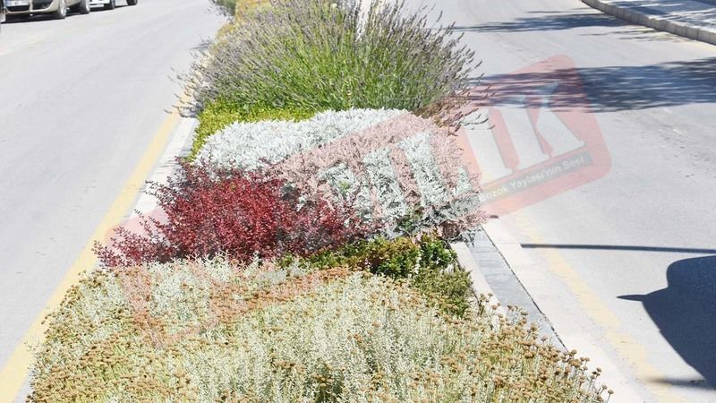 Yozgat'ın Çiçekli Sokakları: Şehrin Çehresi Değişiyor! 1