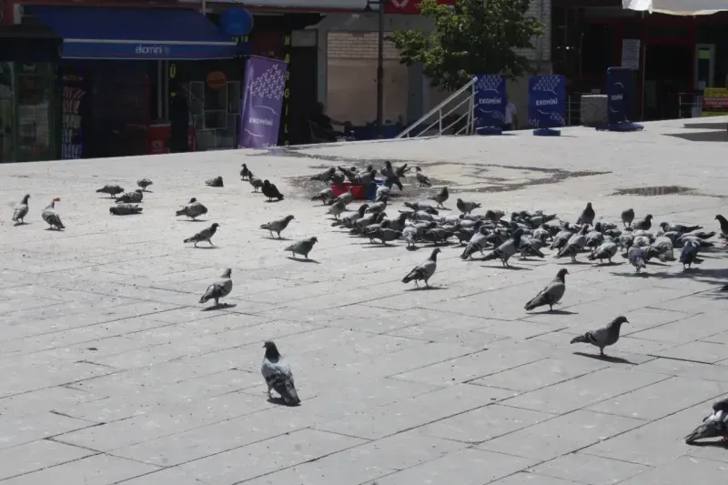 Yozgat’ın Tarihi Un Pazarı, Huzurun Adresi! 5