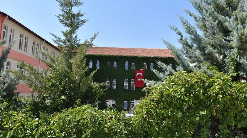 Yozgat'ta sarmaşıkların sardığı kamu kurumu gözden kayboldu! Yok böyle bir güzellik! 3