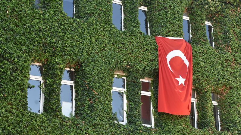 Yozgat'ta sarmaşıkların sardığı kamu kurumu gözden kayboldu! Yok böyle bir güzellik! 5