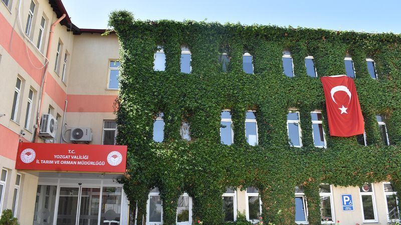 Yozgat'ta sarmaşıkların sardığı kamu kurumu gözden kayboldu! Yok böyle bir güzellik! 6