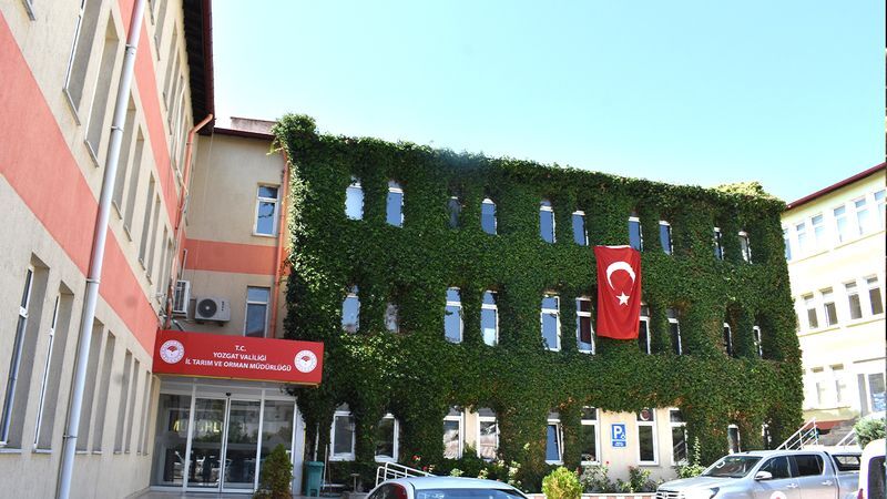 Yozgat'ta sarmaşıkların sardığı kamu kurumu gözden kayboldu! Yok böyle bir güzellik! 2