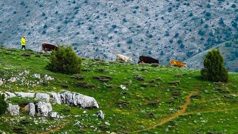 Akdağmadeni Her Mevsim Bir Başka Güzel! 6