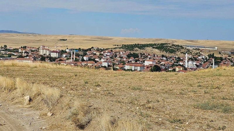 Saraykent’te Tarlalar Sarının BinBir Tonuna Büründü! 2