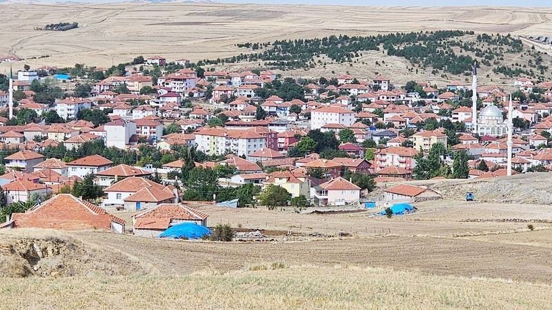 Saraykent’te Tarlalar Sarının BinBir Tonuna Büründü! 5