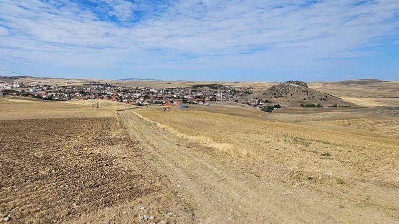 Saraykent’te Tarlalar Sarının BinBir Tonuna Büründü! 1