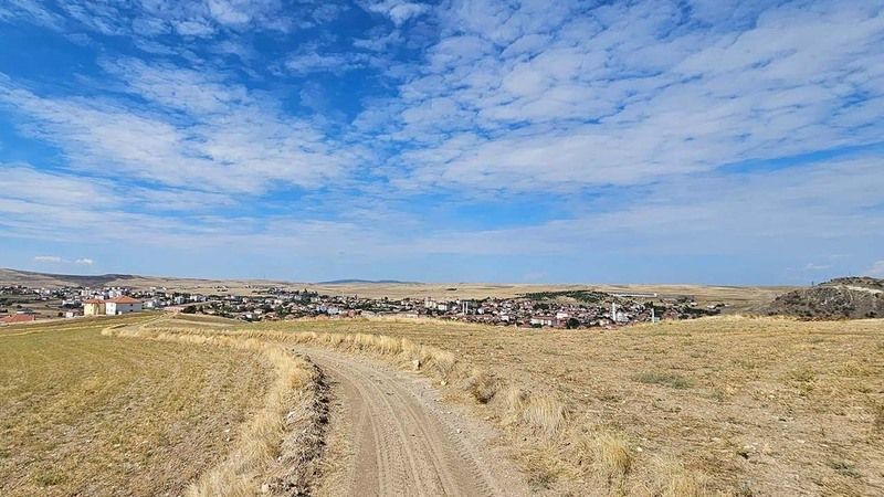 Saraykent’te Tarlalar Sarının BinBir Tonuna Büründü! 7