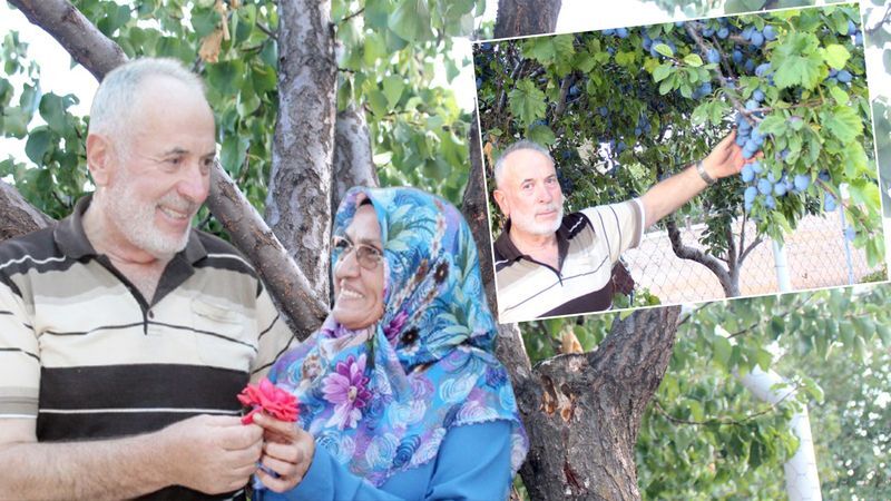 Bir ağaçta 3 çeşit meyve: Yozgat’ın en ilginç bahçesi bereket saçıyor 1