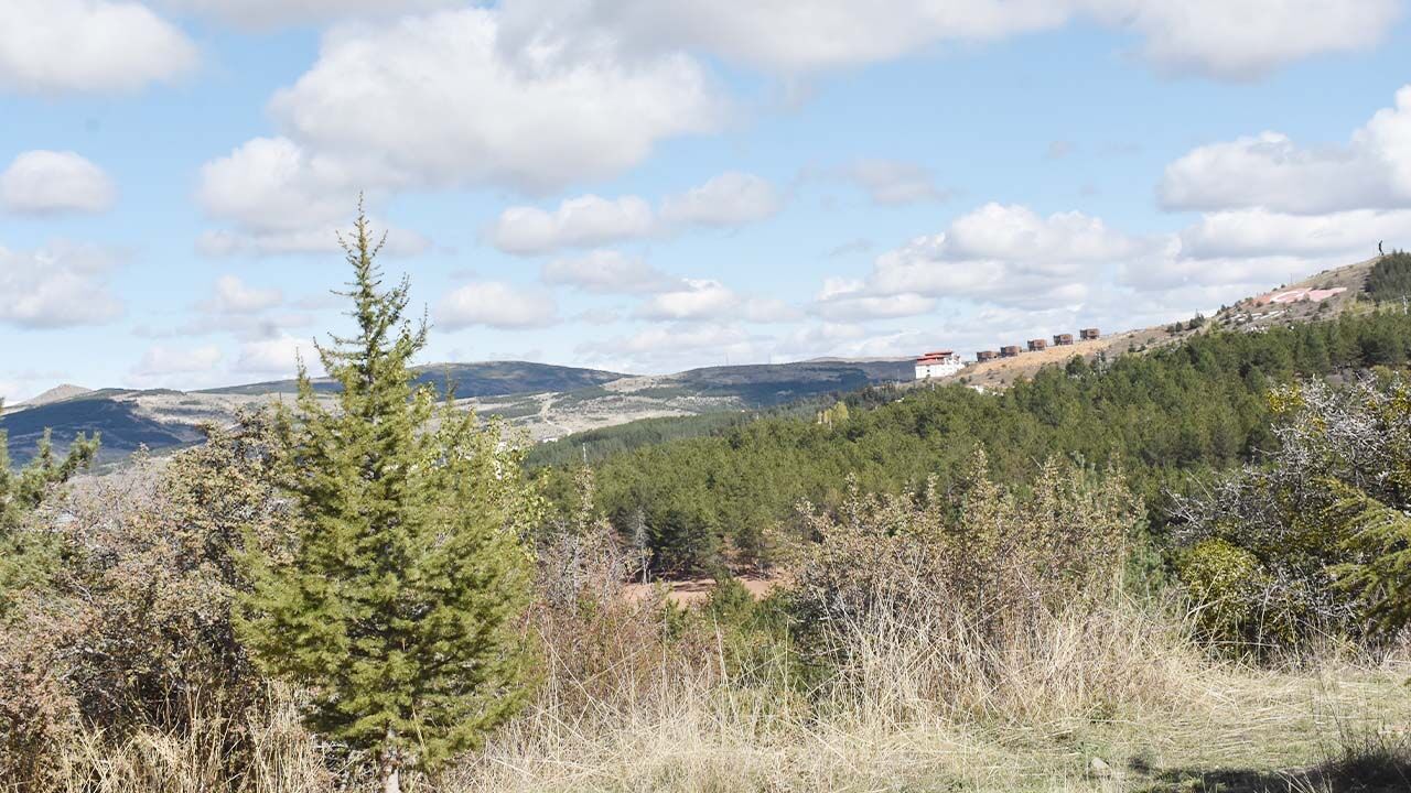 Yozgat Çamlık Milli Parkı: Doğaseverler İçin Kış Rotası 7