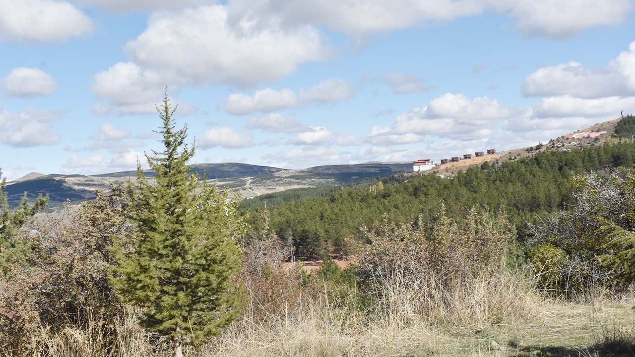 Yozgat Çamlık Milli Parkı: Doğaseverler İçin Kış Rotası 5