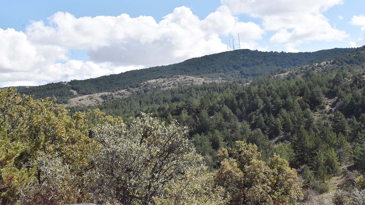 Yozgat Çamlık Milli Parkı: Doğaseverler İçin Kış Rotası 3
