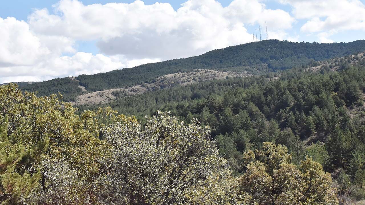 Yozgat Çamlık Milli Parkı: Doğaseverler İçin Kış Rotası 4