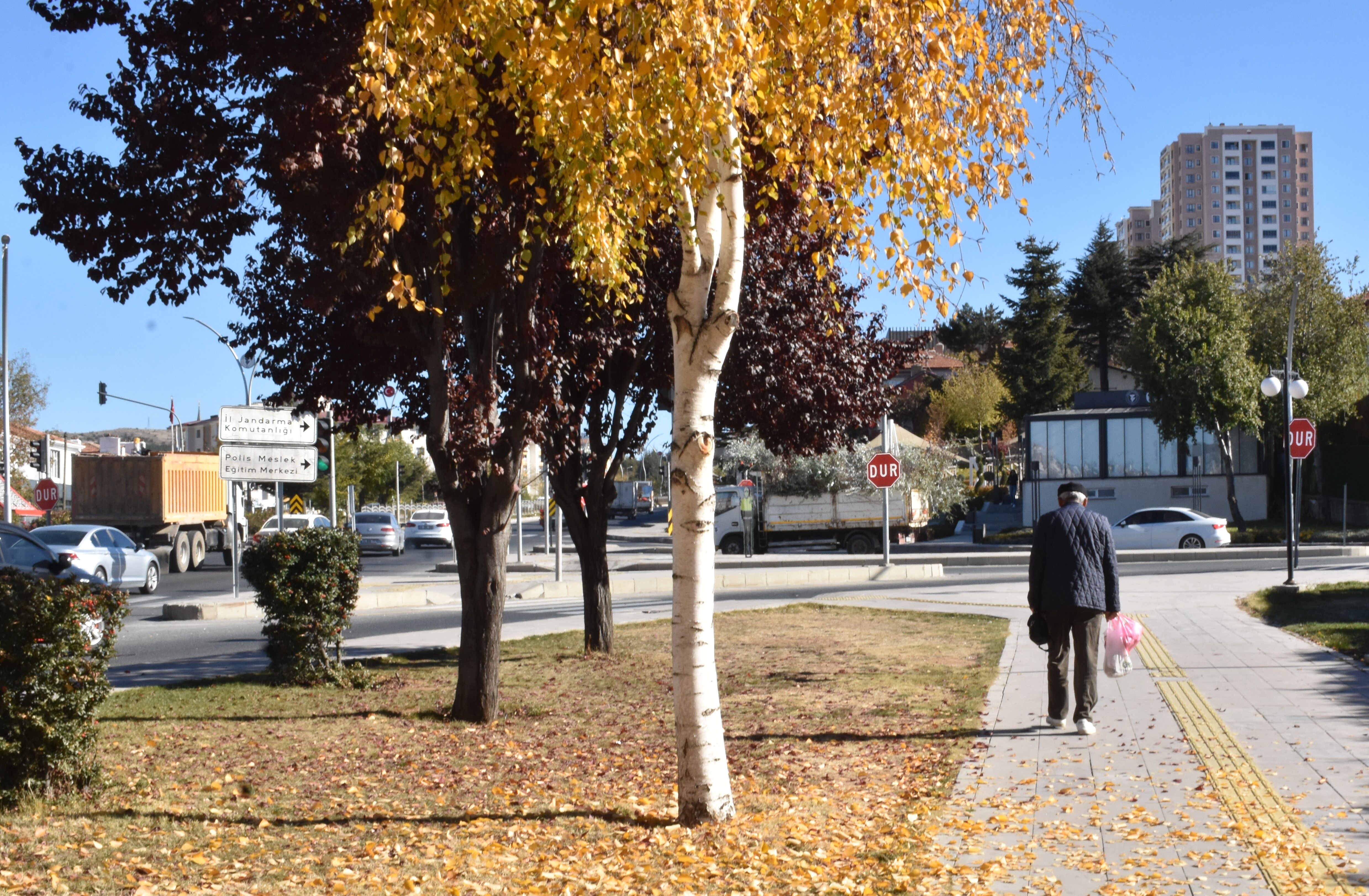 Yozgat'ta Sonbaharın Büyüleyici Renk Cümbüşü! 5