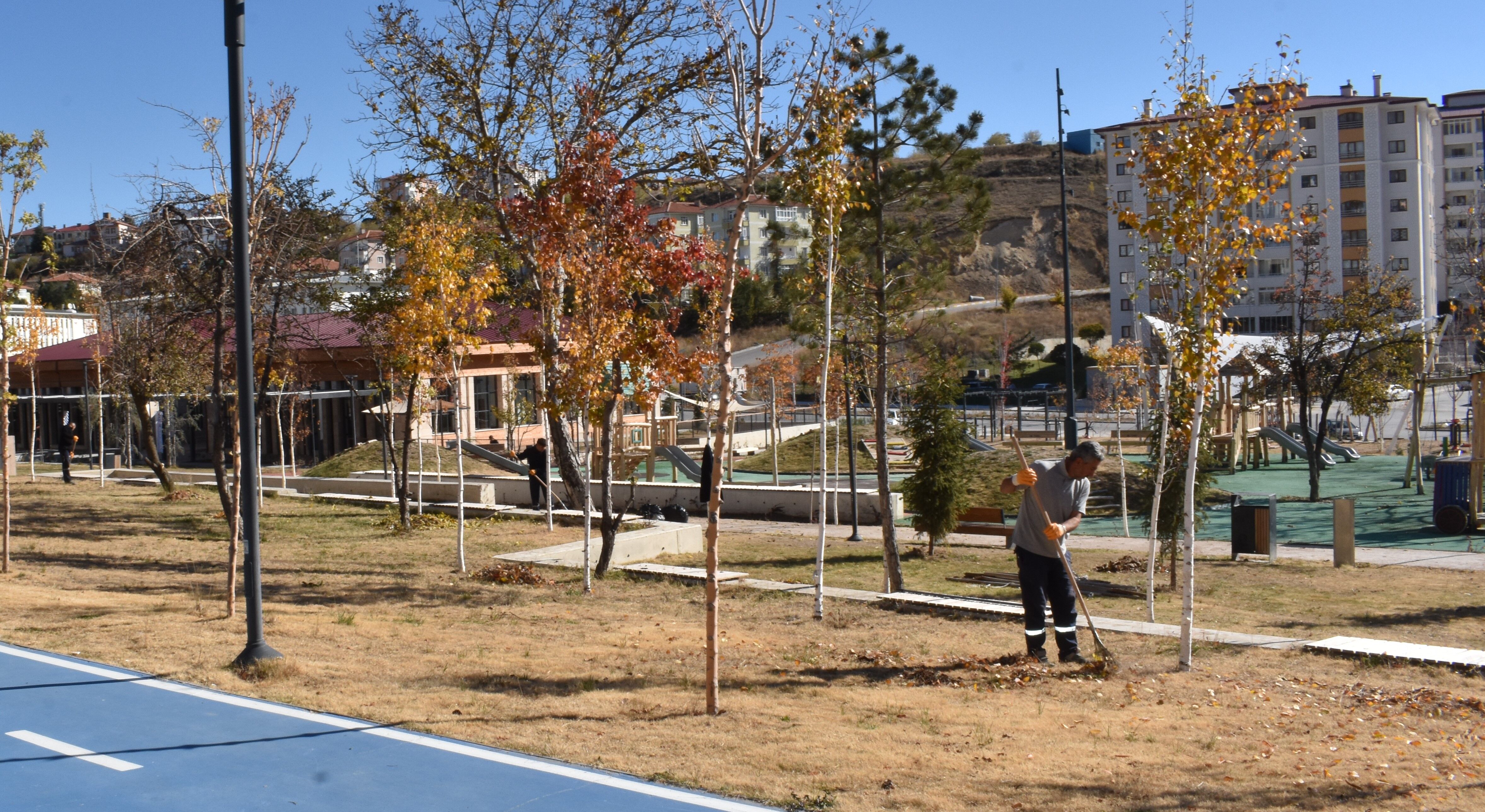 Yozgat'ta Sonbaharın Büyüleyici Renk Cümbüşü! 9