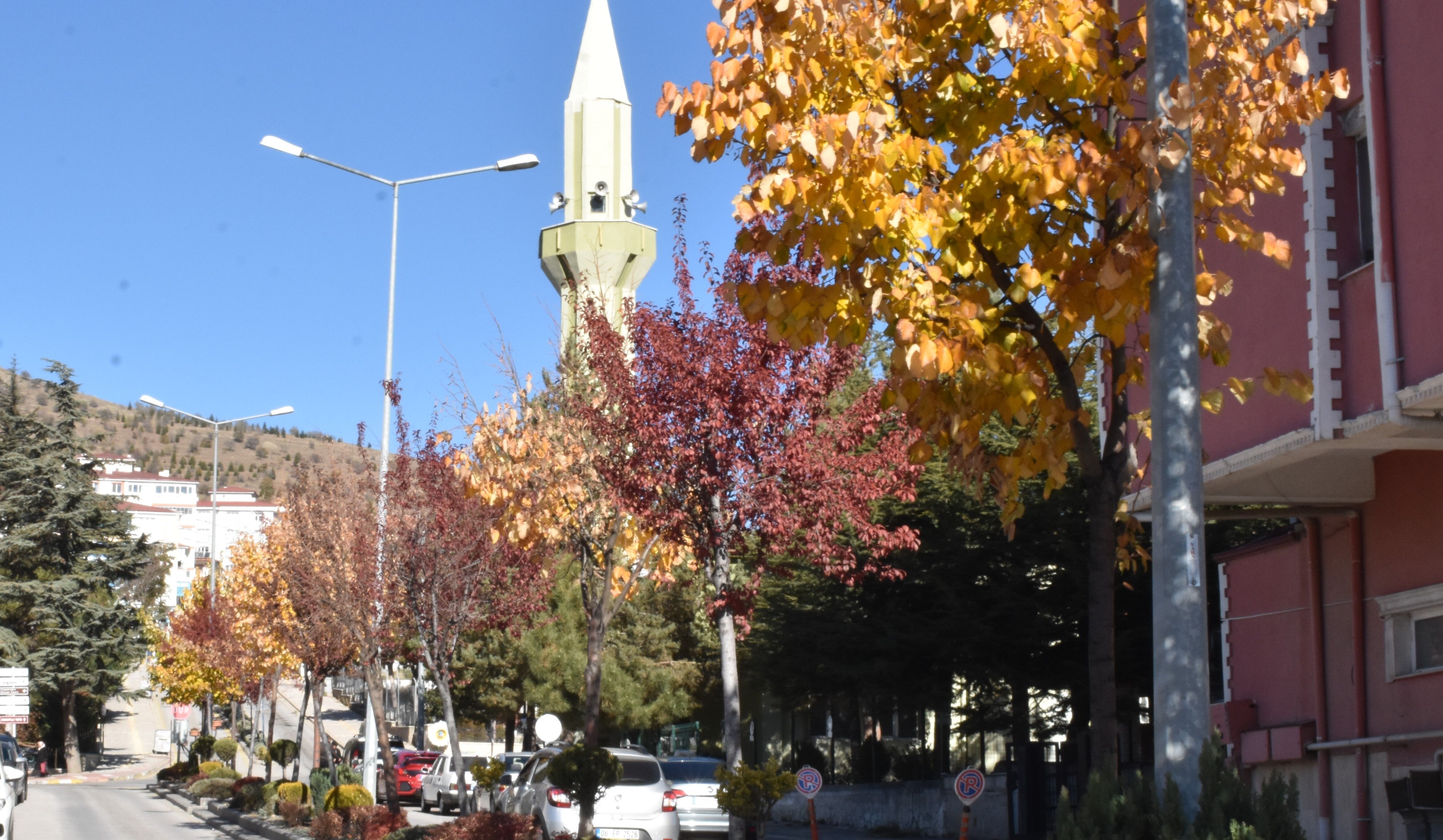 Yozgat'ta Sonbaharın Büyüleyici Renk Cümbüşü! 8