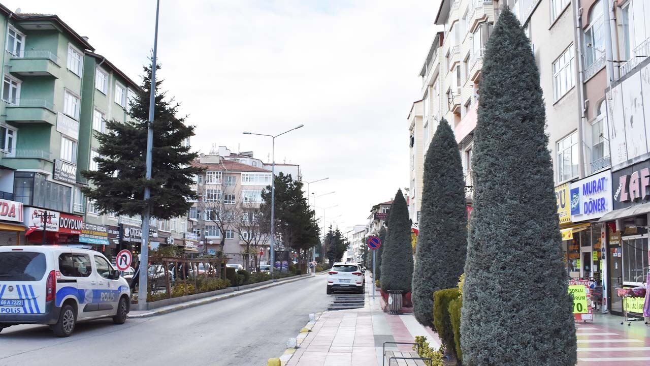 Yozgat meydanında yeşil sanat! Bir gören bir daha bakıyor… 6
