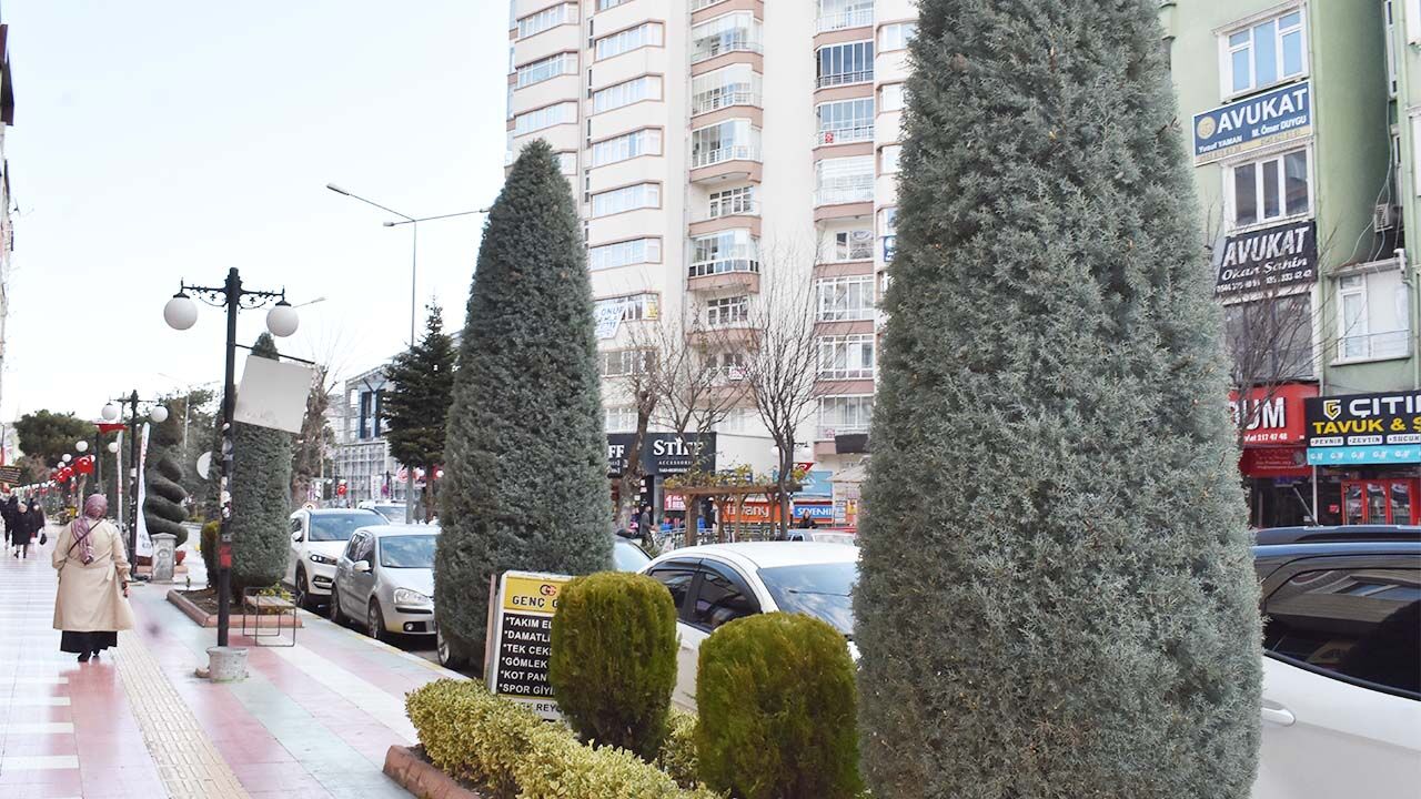 Yozgat meydanında yeşil sanat! Bir gören bir daha bakıyor… 7