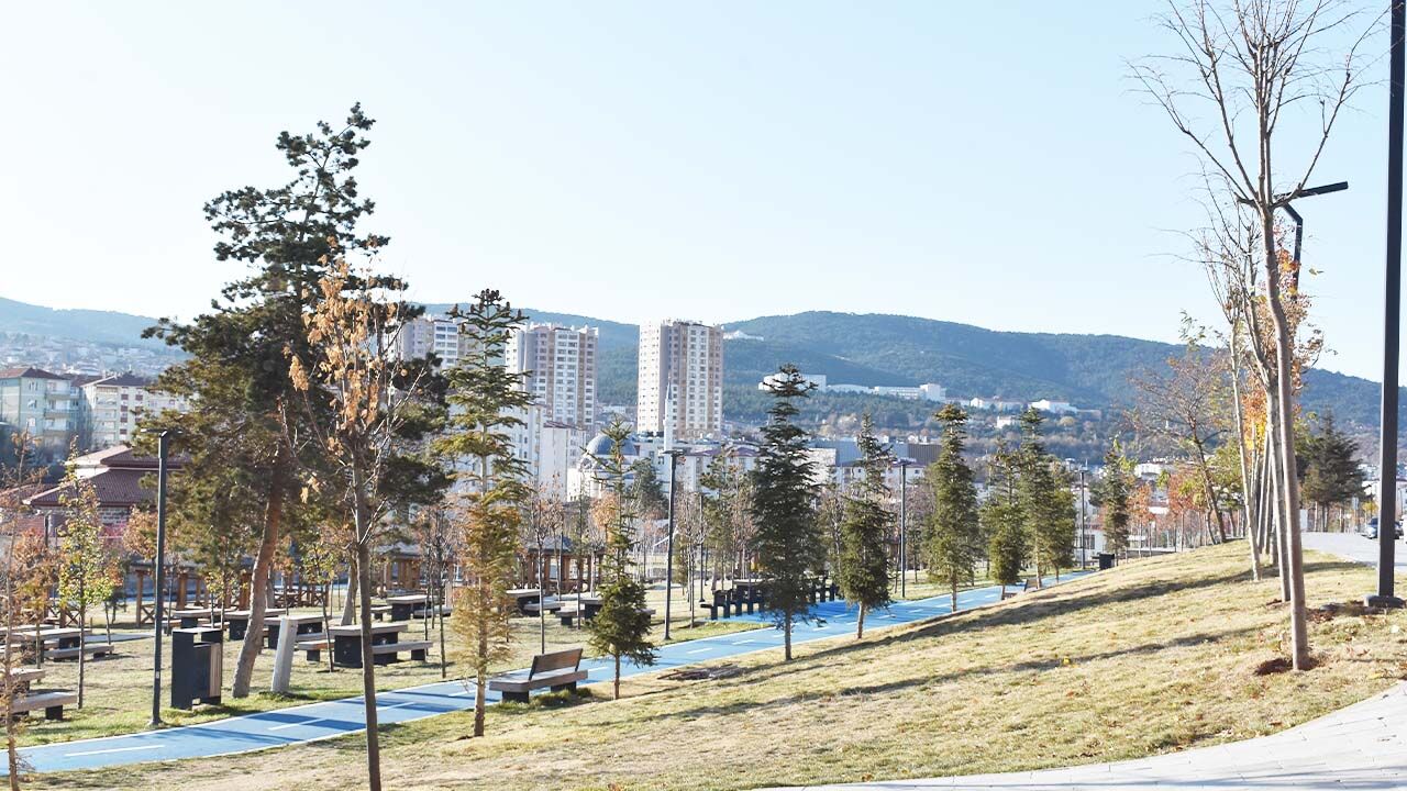 Yozgat meydanında yeşil sanat! Bir gören bir daha bakıyor… 4