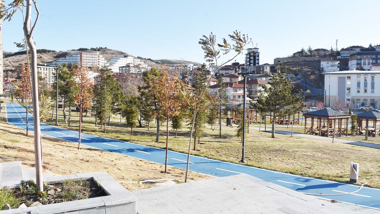 Yozgat meydanında yeşil sanat! Bir gören bir daha bakıyor… 5